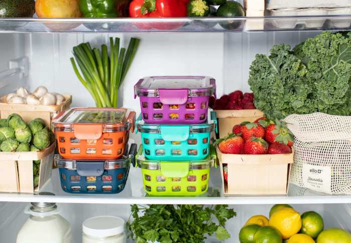 Food properly store foods stored should storing not fridge can badly doesn ensure perishables freeze never longer get indoindians organising Food properly store foods stored should storing not fridge can badly doesn ensure perishables freeze never longer get indoindians organising