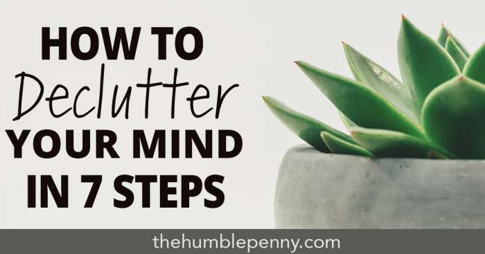 Declutter Declutter