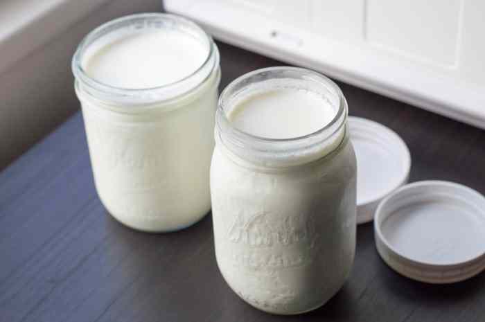 Yogurt homemade starter Yogurt homemade starter