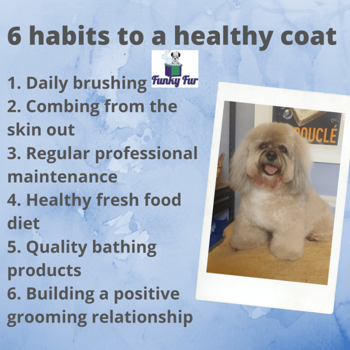 Grooming regular keeps cats