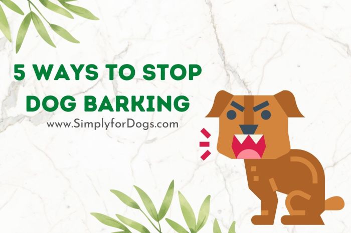 Barking puppy Barking puppy
