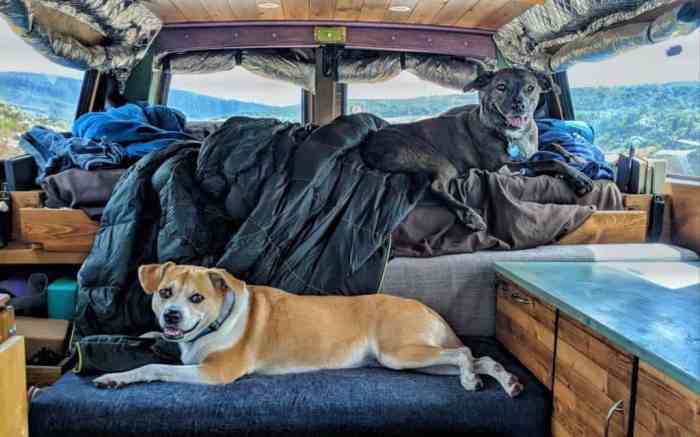 Vacation stress tips travel paperblog vacations saved