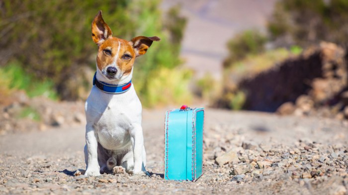 Travel stress christmas tips unibank minute deals check last out