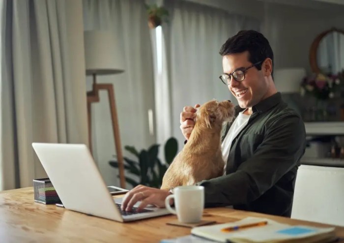 How to Choose the Right Dog Breed: 10 Factors to Consider
