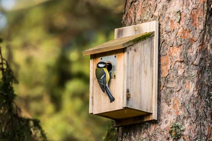 Birdhouse diycraftsguru cool homemade birdhouses cabin