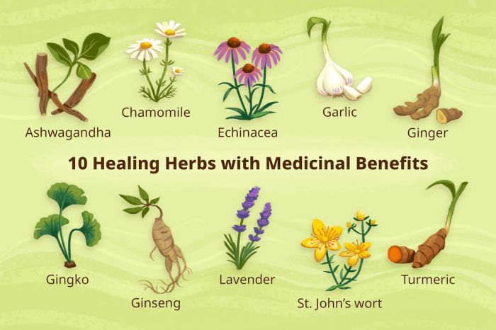 Herbs iproperty easiest 123rf Herbs iproperty easiest 123rf