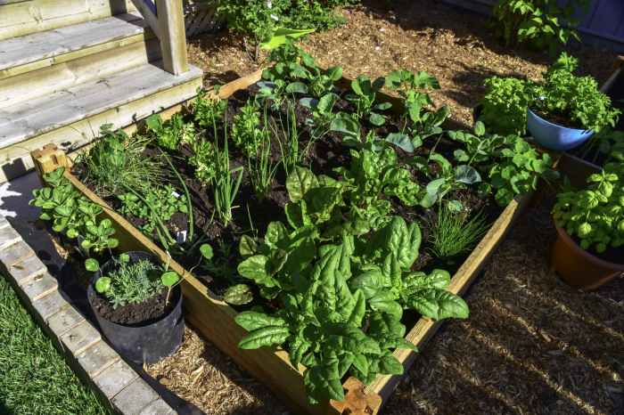 Gardening raised leafy pollinators