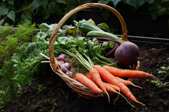 Plant vegetables when harvest chart vegetable garden grow blog Plant vegetables when harvest chart vegetable garden grow blog