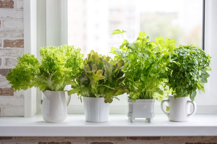 Spices herbs herb abountifulkitchen Spices herbs herb abountifulkitchen