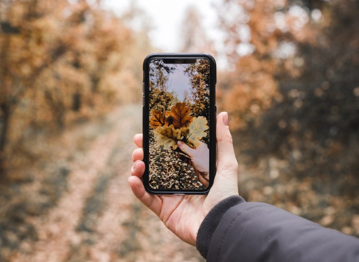 How to Take Better Photos with Your Smartphone: 20 Tips and Tricks