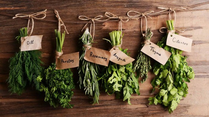 Herbs pots garden grow kitchen windowsill small container beautiful gardens fresh lettuce basil Herbs pots garden grow kitchen windowsill small container beautiful gardens fresh lettuce basil