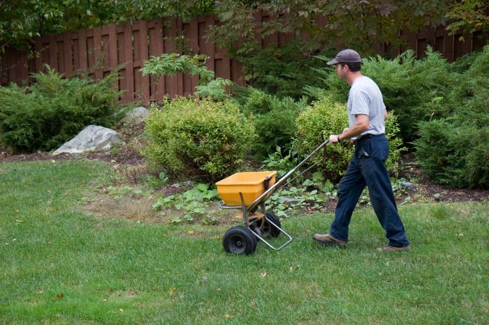 Fertilizer feeding bush flowers marchenko vitalii fertilizing