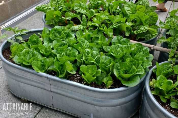 Pvc garden vertical vegetable diy pipe gardening ideas gardens indoor planter hydroponic planters design small bunnings vegetables friendly make environment