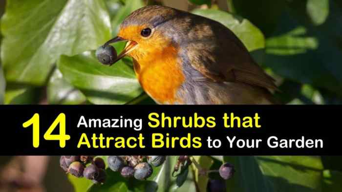 How to Attract Birds to Your Yard: 7 Tips for Creating a Bird-Friendly Environment