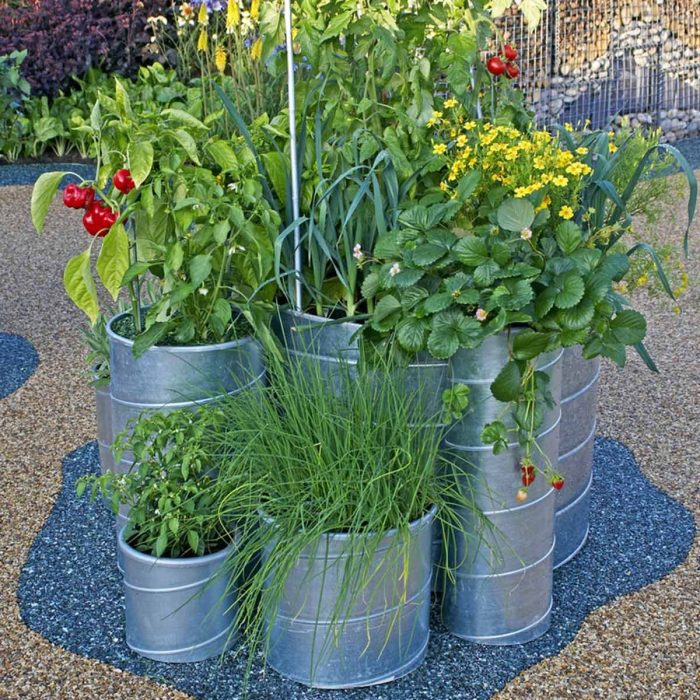 Garrafas recycled macetas planting recycle greens mustard repurposed upcycled vest