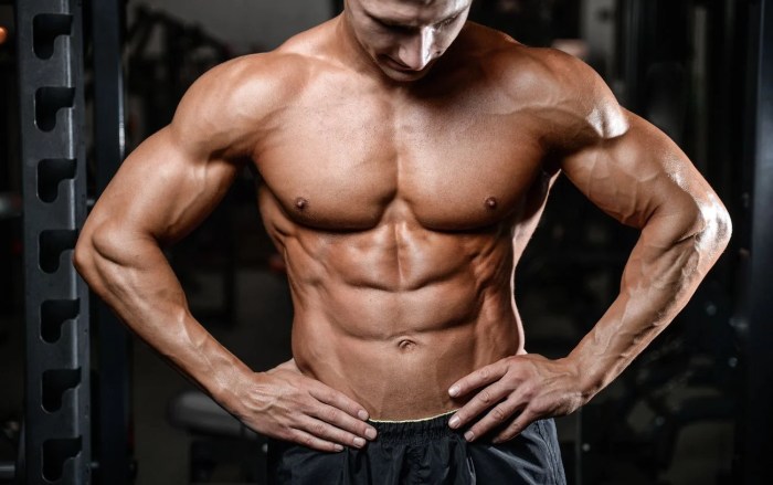 Workout gym muscle day program building beginners plan routine exercise training plans workouts body men paperblog work out full weekly Workout gym muscle day program building beginners plan routine exercise training plans workouts body men paperblog work out full weekly
