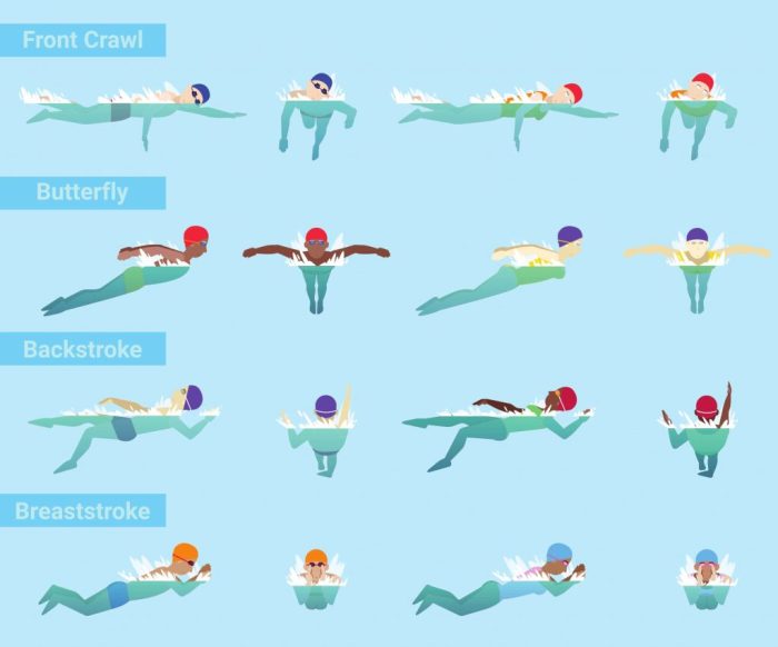 Swimming strokes basic beginners swim basics techniques easy can into made details component parts their simple breaking discover them read