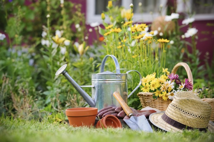 How to Garden: 12 Gardening Tips for Beginners