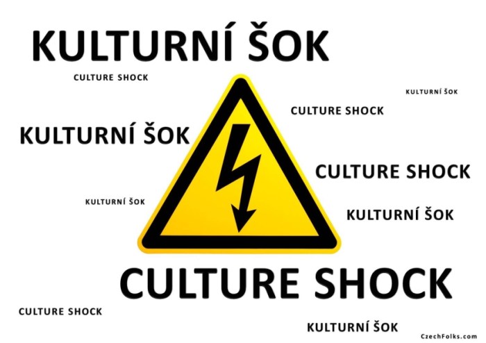 How to Deal with Culture Shock: 7 Tips for Adjusting to a New Culture