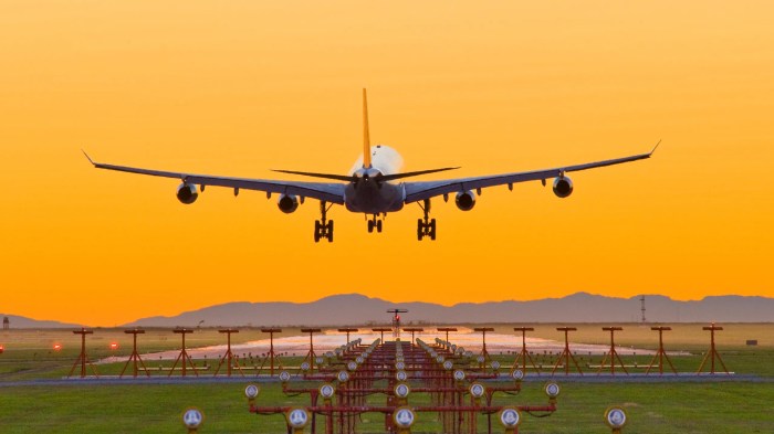 How to Find Cheap Flights: 5 Websites for Finding Discounted Flights