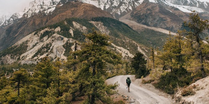 How to Hike Safely: 7 Hiking Safety Tips