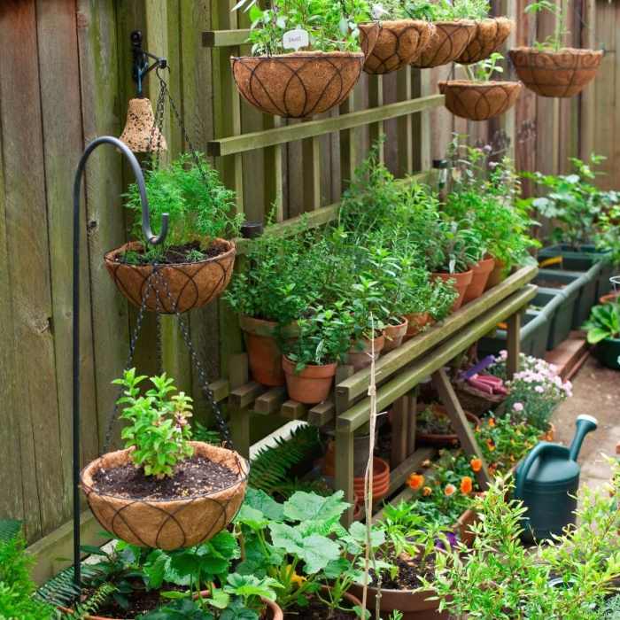 How to Garden: 12 Gardening Tips for Beginners