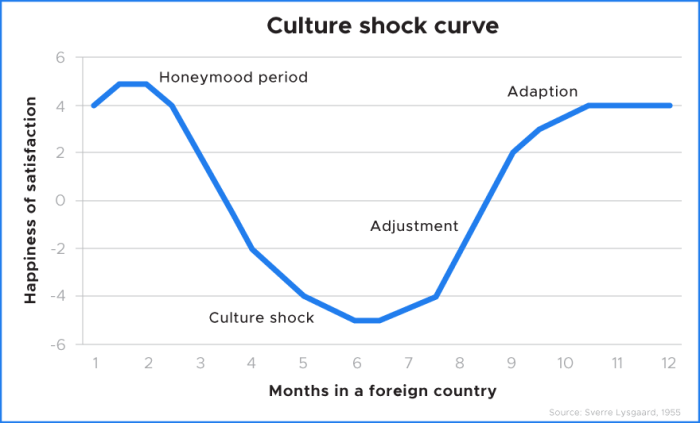 How to Deal with Culture Shock: 7 Tips for Adjusting to a New Culture