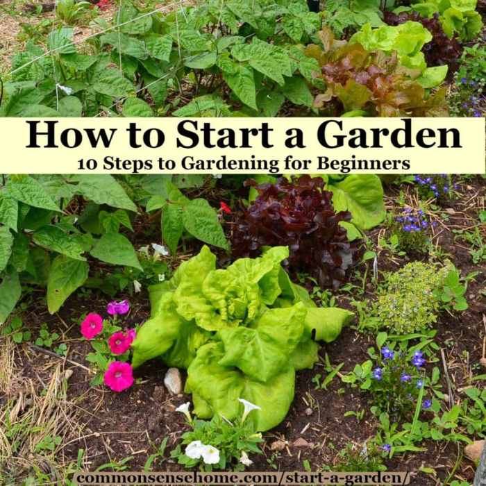 How to Garden: 12 Gardening Tips for Beginners
