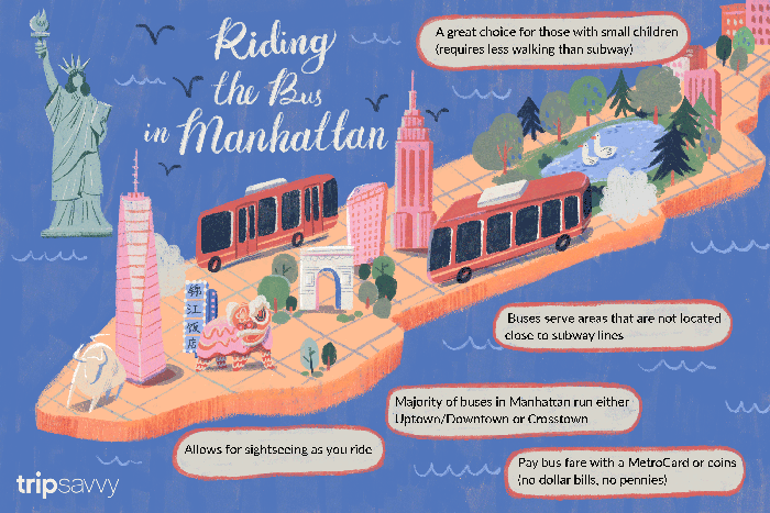 Buses riding tripsavvy bus jiaqi zhou