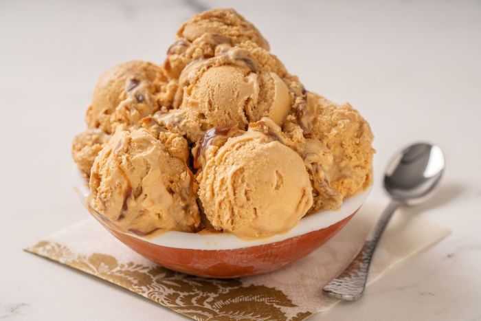 How to Make Ice Cream: 7 Delicious Ice Cream Recipes